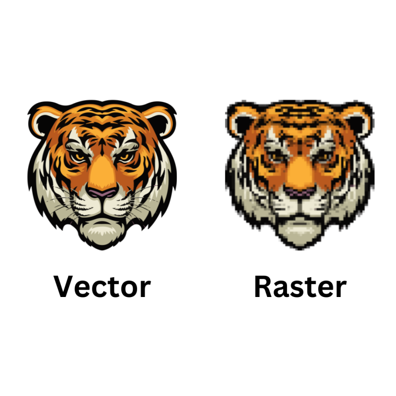 Vector File Vs Raster File - Tigerpress